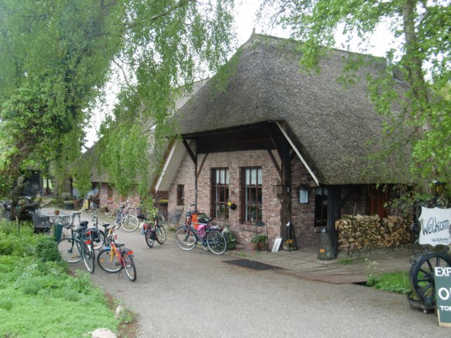 HWK2010 051.jpg